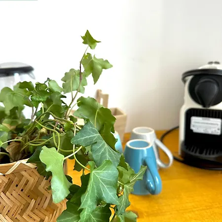 Appartement Le Reve Cosy, Equipe *