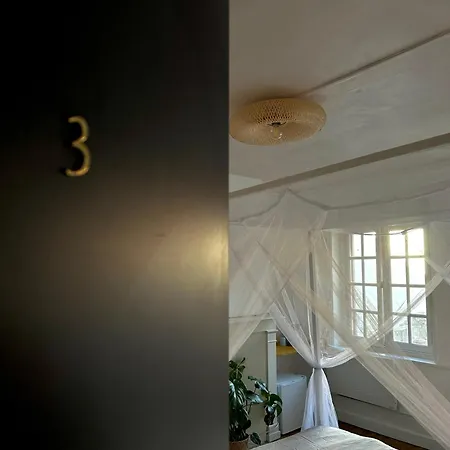 Le Reve Cosy, Equipe